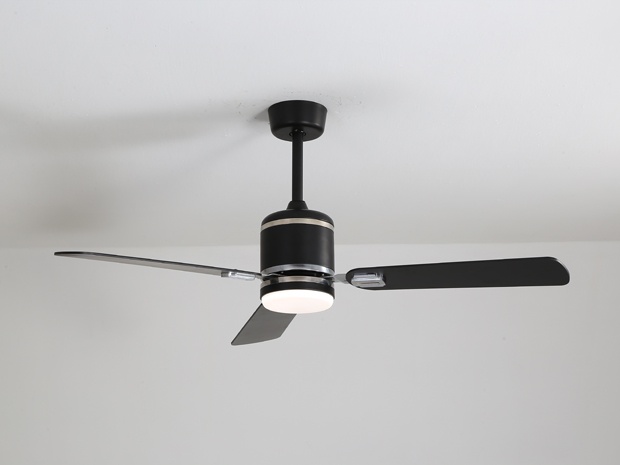Fan lamp lz-5236B
