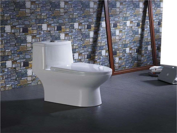 TOILET  LZ-050