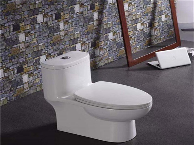 TOILET LZ-030